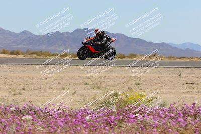 media/Mar-12-2023-SoCal Trackdays (Sun) [[d4c8249724]]/Turn 15 Inside Bloom (130pm)/